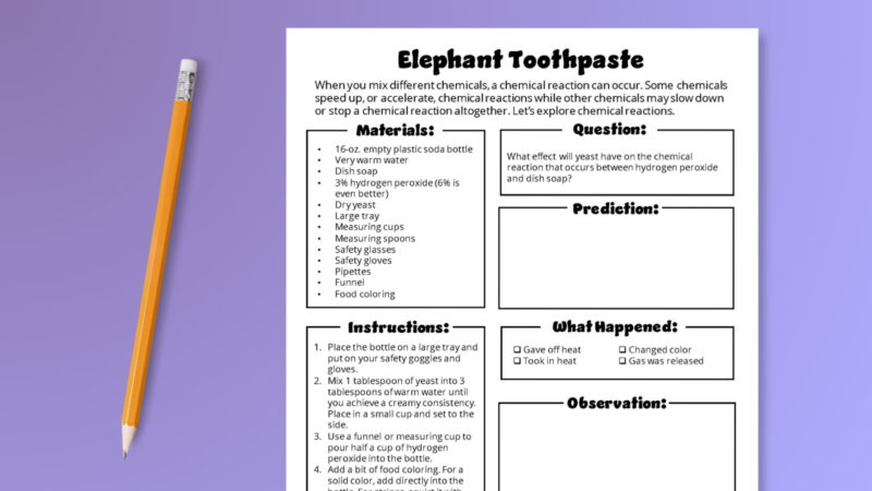 Elephant Toothpaste 2