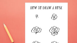 How to Draw a Rose Feature