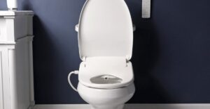 biobidet