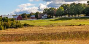 maine farms