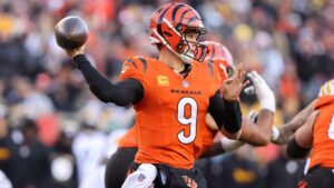 joe burrow bengals usatsi