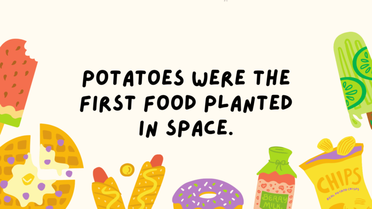 Food Facts Feature