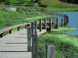 Greenwood Pond Double Site Des Moines IA 2014. Photo c Judith Eastburn courtesy The Cultural Landscape Foundation DM4