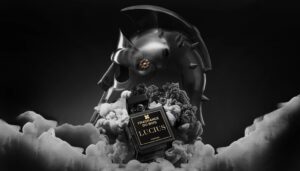 1050x600 fdb lucius