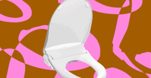 257692 brondell bidet review CVirginia C