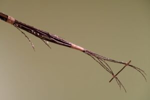2YrAh scaled