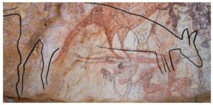 macropod lnf